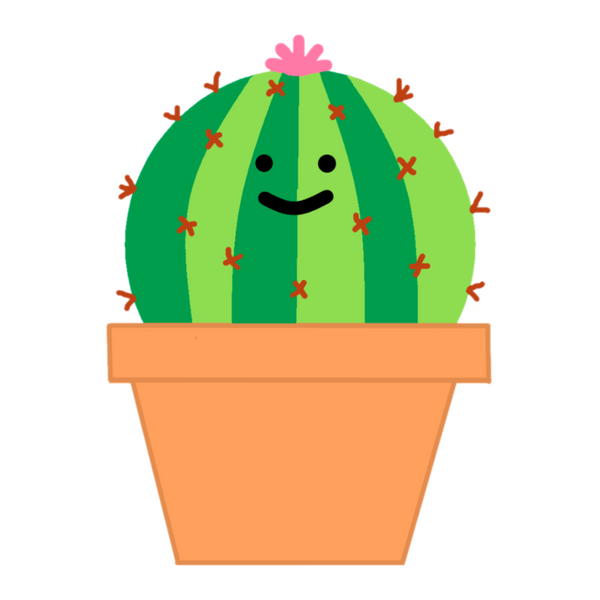 Cashew The Cactus